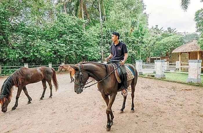 Kayangan Saba Villa Blahbatu
